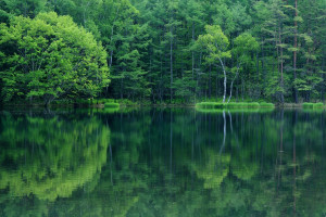 跨界联动!F1电竞携手顶流明星,引爆娱乐体育新潮流!