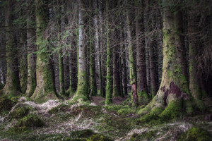 谁是下一个电竞传奇国家级大赛等你见证 谁是下一个电竞传奇国家级大赛等你见证